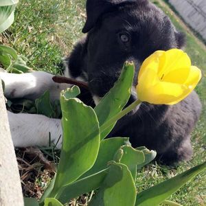 Meet your Posher, Eva